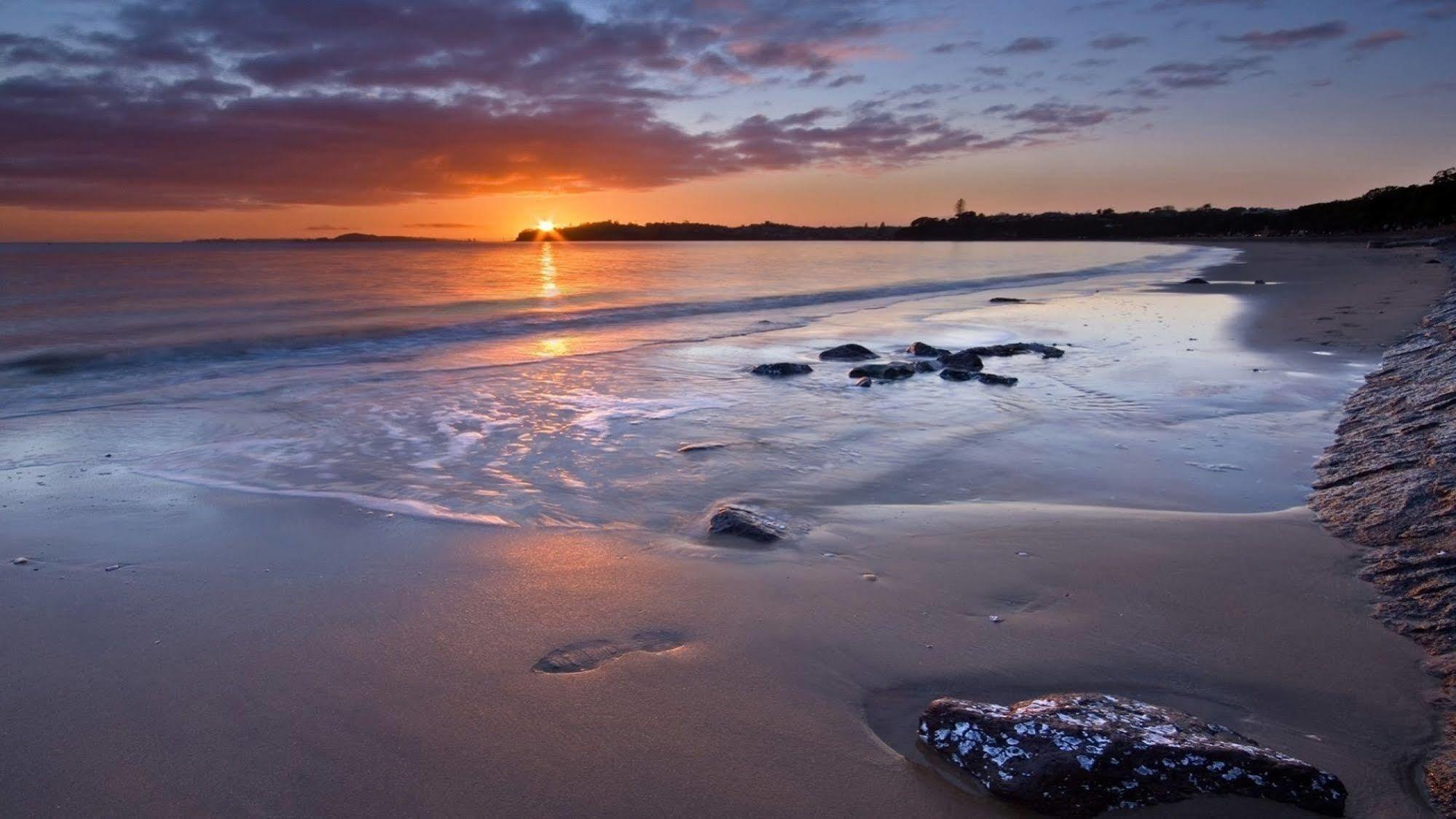 Kohimarama Beach Bed & Breakfast - Style And Privacy In Superb Location Auckland Buitenkant foto